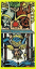 EL TRIUNFO TAROT